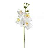 Orchidej, 44 cm  3019059-40