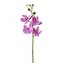 Orchidej, 44 cm  3019059-80