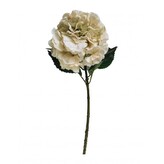 Hortenzie  100-0085/WT