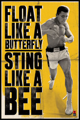 Plakát, Obraz - Muhammad Ali - vznášet se jako motýl, 61 × 91.5 cm