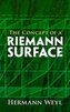 The Concept of a Riemann Surface