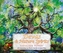 Devas & Nature Spirits