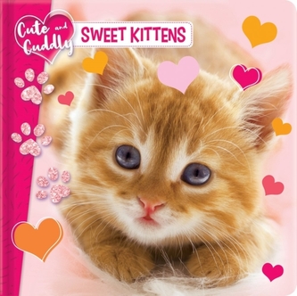 Cute and Cuddly: Sweet Kittens