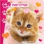 Cute and Cuddly: Sweet Kittens
