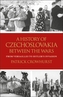 A History of Czechoslovakia Between the Wars : From Versailles to Hitler´s Invasion