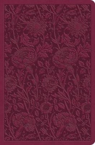 ESV Value Compact Bible