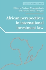 African Perspectives in International Investment Law