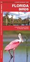 Florida Birds