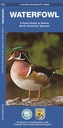 Waterfowl