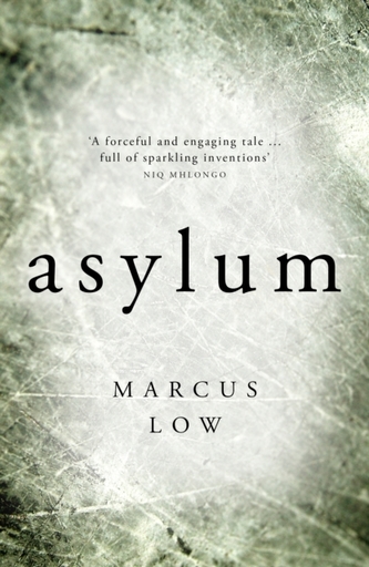 Asylum: the most credible - and therefore the most disturbing - dystopian novel I [have] ever read- SUNDAY TIMES