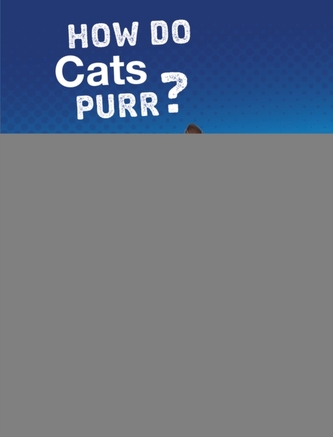 How Do Cats Purr?