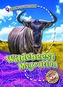 Wildebeest Migration
