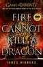 Fire Cannot Kill a Dragon