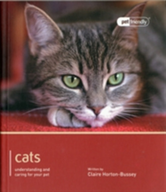 Cat - Pet Friendly