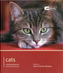 Cat - Pet Friendly
