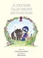 A little horse called pancakes and the big scare