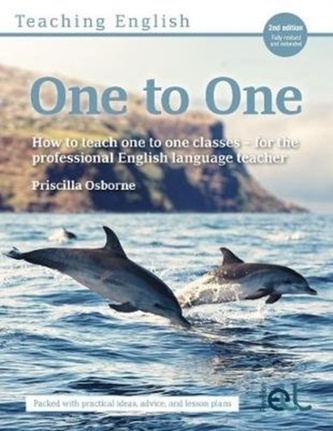 Teaching English One to One