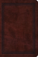 ESV Value Large Print Compact Bible