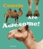 Camels Are Awesome!