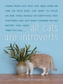All Cats Are Introverts