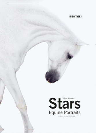 Stars: Equine Portraits