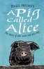 A Pig Called Alice