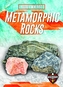 Metamorphic Rocks