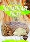 Sedimentary Rocks