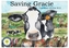 Saving Gracie