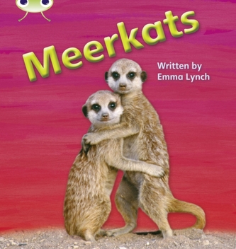 Bug Club Phonics Non-fiction Set 22 Meerkats