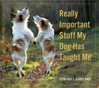 Really Important Stuff My Dog Has Taught Me