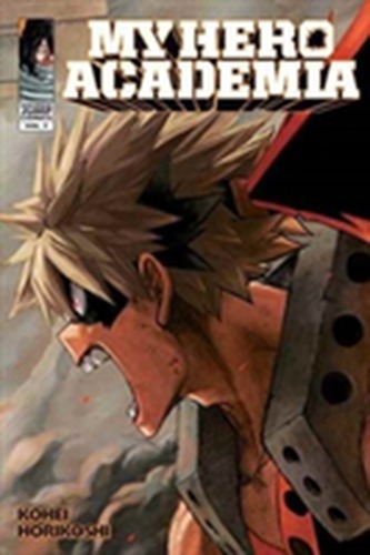 My Hero Academia (7)