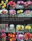 Cacti and Succulents