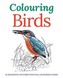 Colouring Birds
