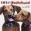 101 Uses for a Dachshund