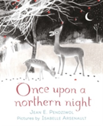 Once Upon a Northern Night