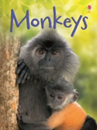 Monkeys