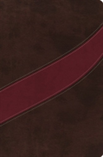 NASB, The MacArthur Study Bible, Leathersoft, Brown/Red
