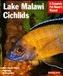 Lake Malawi Cichlids