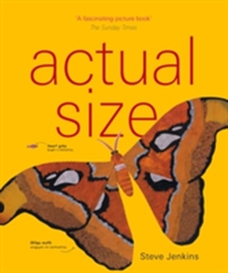 Actual Size