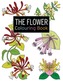 The Flower Colouring Book