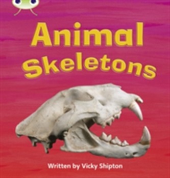 Animal Skeletons