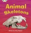 Animal Skeletons
