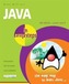 Java in Easy Steps