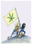 Fifty Freakin' Years Of The Fabulous Furry Freak Brothers