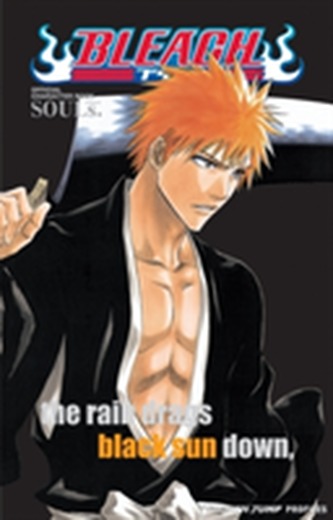 Bleach SOULs. Official Character Book