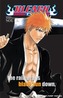 Bleach SOULs. Official Character Book