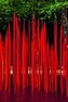 Chihuly