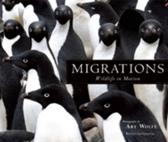 Migrations