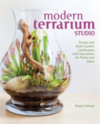 Modern Terrarium Studio